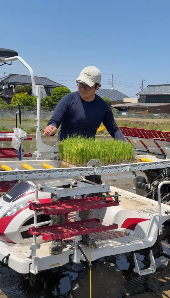 田植え機に苗箱を積み込む作業(埼玉県川越市の田んぼ)